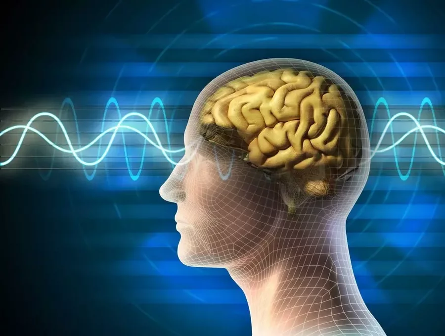 MidBrain Activation Franchise India